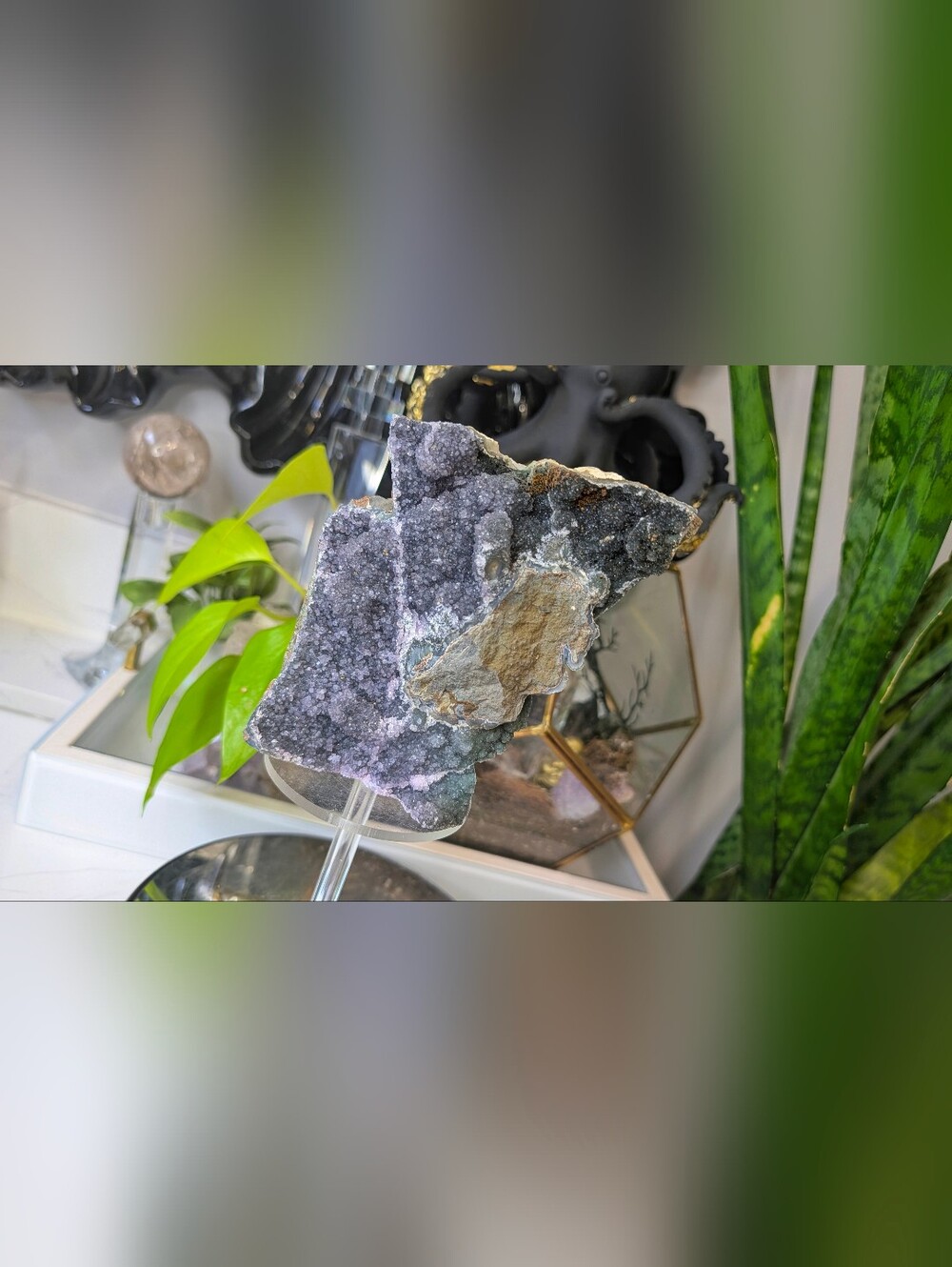 Rare Druzy & Black Amethyst Crystal Cluster